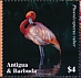 American Flamingo Phoenicopterus ruber  2020 Flamingo Sheet