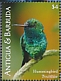 Glittering-throated Emerald Chionomesa fimbriata  2021 Humminbird Sheet