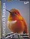 Rufous Hummingbird Selasphorus rufus  2021 Humminbird Sheet