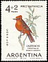 Scarlet Flycatcher Pyrocephalus rubinus  1963 Child welfare, birds 
