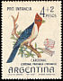 Red-crested Cardinal Paroaria coronata  1964 Child welfare, birds 