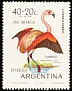 Chilean Flamingo Phoenicopterus chilensis  1970 Child welfare, birds 