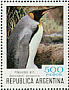 King Penguin Aptenodytes patagonicus