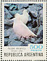 Snowy Sheathbill Chionis albus  1980 Antarctic Argentina 12v sheet