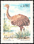 Lesser Rhea Rhea pennata  1991 Birds 