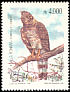 Crested Eagle Morphnus guianensis  1991 Birds 