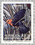 Scarlet-headed Blackbird Amblyramphus holosericeus  1993 Paintings of birds by Axel Amuchastegui Sheet