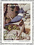 Belted Kingfisher Megaceryle alcyon  1993 Paintings of birds by Axel Amuchastegui Sheet