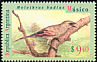 Greyish Baywing Agelaioides badius  1995 Birds of Argentina 