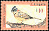 Rufous-collared Sparrow Zonotrichia capensis  1995 Birds of Argentina 