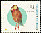 Western Barn Owl Tyto alba  1995 Argentine fauna 