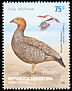 Ruddy-headed Goose Chloephaga rubidiceps  2002 Islas Malvinas 