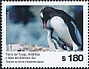 Gentoo Penguin Pygoscelis papua  2019 Tierra del Fuego 4v set