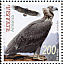 Cinereous Vulture Aegypius monachus  2007 Birds 