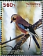 Eurasian Jay Garrulus glandarius