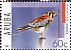 American Kestrel Falco sparverius  2005 Birds of prey Sheet