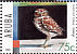 Burrowing Owl Athene cunicularia  2005 Birds of prey Sheet