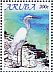 Great Egret Ardea alba