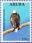 Bald Eagle Haliaeetus leucocephalus  2012 Birds of prey 