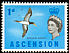 Brown Booby Sula leucogaster  1963 Definitives 