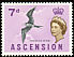 Ascension Frigatebird Fregata aquila  1963 Definitives 