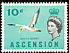 Masked Booby Sula dactylatra  1963 Definitives 