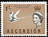 White-tailed Tropicbird Phaethon lepturus  1963 Definitives 