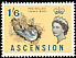 Red-billed Tropicbird Phaethon aethereus  1963 Definitives 