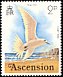 White Tern Gygis alba  1976 Birds 