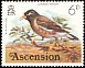 Common Myna Acridotheres tristis