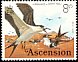 Sooty Tern Onychoprion fuscatus  1976 Birds 