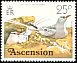 Red-billed Tropicbird Phaethon aethereus  1976 Birds 