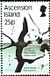 Ascension Frigatebird Fregata aquila  1987 Sea birds 