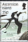 Ascension Frigatebird Fregata aquila  1987 Sea birds 