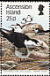 Sooty Tern Onychoprion fuscatus  1988 Sea birds 