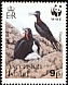 Ascension Frigatebird Fregata aquila  1990 WWF 