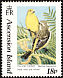 Yellow Canary Crithagra flaviventris