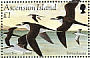 Sooty Tern Onychoprion fuscatus  1994 Sooty Tern  MS