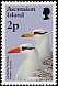 Red-billed Tropicbird Phaethon aethereus