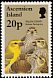 Yellow Canary Crithagra flaviventris  1996 Birds 