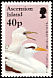 White-tailed Tropicbird Phaethon lepturus  1996 Birds 