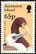 Brown Booby Sula leucogaster  1996 Birds 