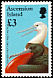 Ascension Frigatebird Fregata aquila  1996 Birds 