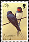 Barn Swallow Hirundo rustica  1998 Migratory birds 