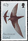 Common Swift Apus apus  1998 Migratory birds 