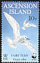 White Tern Gygis alba  1999 WWF, Fairy Tern 
