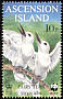 White Tern Gygis alba  1999 WWF, Fairy Tern 