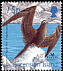 Ascension Frigatebird Fregata aquila  2001 BirdLife International 