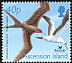 Ascension Frigatebird Fregata aquila  2001 BirdLife International 