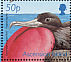 Ascension Frigatebird Fregata aquila  2001 BirdLife International Sheet